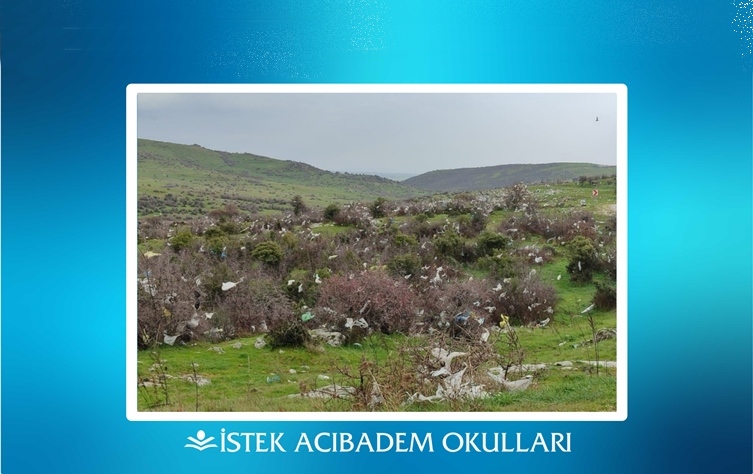 Plastik Yapraklar